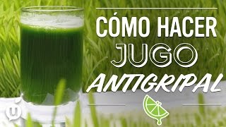 Jugo Antigripal  Antiflu Juice  Kiwilimón [upl. by Eniahs340]