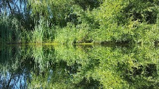 Summer afternoon  Barcombe Mills [upl. by Jolanta]