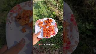 Beleg bostu 🥶😍assameseminivlog kaushikliker7859 assamese assamesefoodvlog assameserecipe [upl. by Arly270]