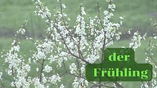 Learn German A1 Jahreszeiten The seasons [upl. by Clarine]