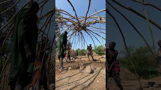 Mursi tribe hut construction africanlifestyle mursi ethiopia [upl. by Mayhs]