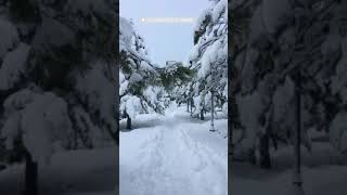 Tokat Gaziosmanpaşa Üniversitesi  Kampüste kar manzaraları [upl. by Bohannon199]