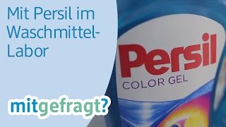 Wäsche sauber waschen Im WaschmittelLabor von Persil  dm mitgefragt Folge 25 [upl. by Kcam]