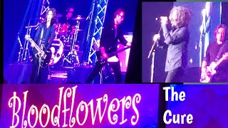 Bloodflowers  The Cure Tribute Band 2122021 [upl. by Lynden]