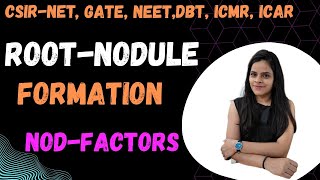 Root Nodule Formation  NodFactors CSIRNET GATE DBT ICMR ICAR NEET Msc Bsc [upl. by Esma]