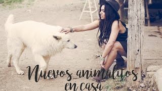 Mi vida en el campo Nuevos animales [upl. by Arabrab]