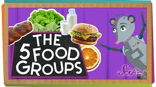 The 5 Fabulous Food Groups [upl. by Adnylg]