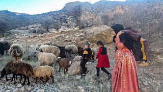 Bringing Sheep Home A Single Mothers Journey with Her Kids [upl. by Peyter324]