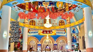 አብይ ፆም ሳምንታት abiy tsom weeks [upl. by Cornelia510]