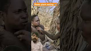 Eating roots plant africa hadzabetribe animals wildlife nature villagelife [upl. by Eekaz]