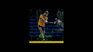 hurlers that use torpey hurleys hurlinghurleysedit [upl. by Enohs364]