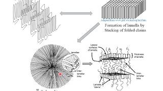 Polymer Crystallization  Hindi [upl. by Nnagrom]