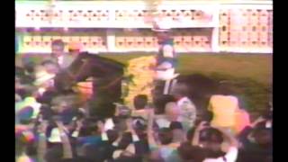 1981 Preakness Stakes  Pleasant Colony  ABC Broadcast [upl. by Ydnem]