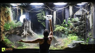 I Unleashed a Swarm of Huntsman Spiders Into My Giant Rainforest Vivarium [upl. by Enelam870]