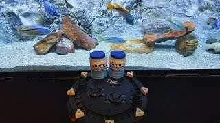 Setting Up My Canister Filter for Crystal Clear Water [upl. by Raynata]