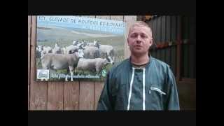 Reportage mouton boulonnais par Mr Fabrice Carron [upl. by Donalt760]