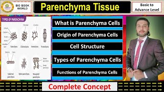 Parenchyma Tissue  Types of Parenchyma  Simple Permanent Tissue  Complete Detail [upl. by Zandt56]