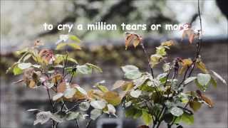 The Singing CookesA Million Tears or More w lyrics [upl. by Karli706]