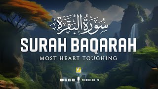 Surah Al Baqarah Full سورة البقره  Relaxing heart touching voice  Zikrullah TV [upl. by Dorothy]