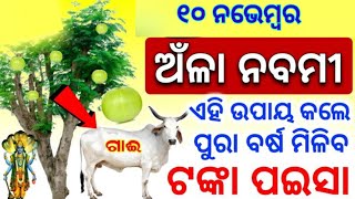 10 November Amla Navami 2024  Anla Nabami puja vidhi  ଅଁଳା ନବମୀ ୨୦୨୪  Akshay Amla Navami 2024odia [upl. by Moffitt627]