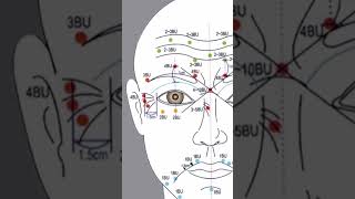 Botox marking learn the art of anatomical marking [upl. by Cutty]