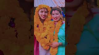 Tihar special picture collectionkamalaghalan9039gobindabm4681shortsvideoshortsbeautiful [upl. by Imre]