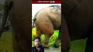 হাতিটি কিভাবে গাড়িটিকে উদ্ধার করলোshorts shortsfeed [upl. by Uohk]