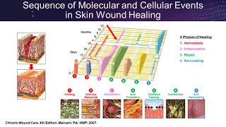 How Science Can Guide Practice Placental Based Allografts [upl. by Lledra21]