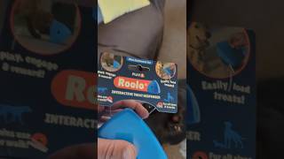 Play 9 Roolo Dog Treat Dispenser 🐶 Perfect For All Breeds And Sizes [upl. by Nogras301]