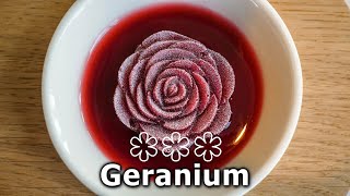 A pranzo al ristorante GERANIUM 3 stelle Michelin a Copenaghen ⭐⭐⭐ [upl. by Navetse]