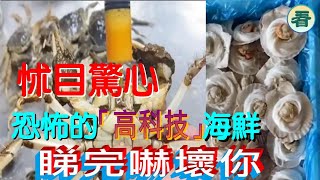 【多面 睇】怵目驚心！勁爆内幕，恐怖的「高科技」海鮮海味；唔講你唔知，睇完嚇壞你 [upl. by Jacie964]