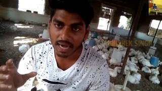 Coccidiosis in poultry farming [upl. by Griggs]