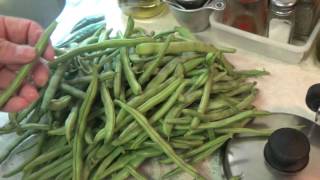 GREEN BEANS – FROM SEED TO CANNING OAG 2016 [upl. by Ejrog610]