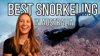 Top 5 Bucketlist Freediving  Snorkeling in Australia [upl. by Ashlie855]