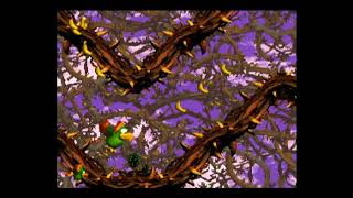 Viddy Plays Donkey Kong Country 2 – Part 12 [upl. by Namlas112]