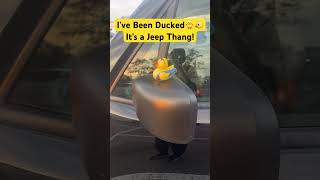 I’ve been Ducked😀jeep duck jeepthang ihavebeenducked ducks [upl. by Alysia572]