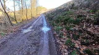 Durch den Wald verlaufen  Heilenbecker Talsperre An der Ennepetalsperre Runde von Ebinghausen [upl. by Brandy]