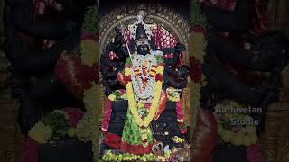 Mecheri 🙏bathrakaliamman 🌿 WhatsApp status Mecheri Bathrakaliamman EDlTZ [upl. by Niffirg]