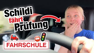 Fahrprüfung mit Schildi 🚘🚦🚨  Fischer Academy  Die Fahrschule [upl. by Adnauqahs]