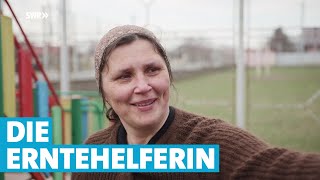 Die Erntehelferin  Mensch Leute  SWR Fernsehen [upl. by Daniell]