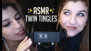 ASMR TWIN Unintelligible Whispers Mouth Sounds amp Ear Play  Tingle Overload 🤯✨ [upl. by Kristos]