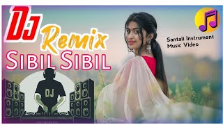 SIBIL SIBILSANTALI INSTRUMENT MUSICSUPER HIT ROMANTIC SONG INSTRUMENTAL [upl. by Riedel682]