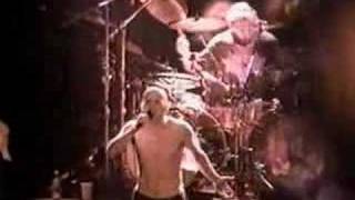 Tool Jimmy live  Pomona 1996 [upl. by Eiznyl]