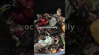 Quick DIY Compost Bin from a Plastic Bin ♻️🍂 composting ecofriendlygardening recycleplastic [upl. by Acile]