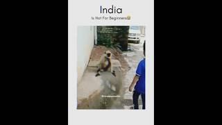 India is not for beginners 🤣😅😂bestdost india funnyjugad funny fun comedyfilms comedy [upl. by Gnuj]