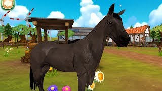 Horse Hotel 🐎 Juego de caballos para niños gratis [upl. by Stevie]