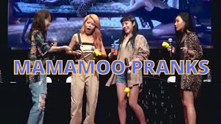 MAMAMOO PRANKS [upl. by Faustus]