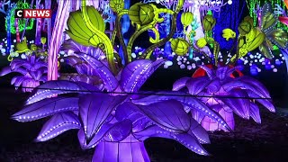 Un festival de lumières au zoo de Thoiry [upl. by Algar]