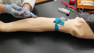 Phlebotomy Venipuncture Procedure [upl. by Hsemar991]