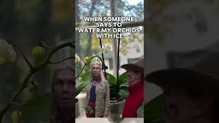 Do you water your orchids with ice Not in my house orchidbloom orchidarium orchids orchidcare [upl. by Aloisius]